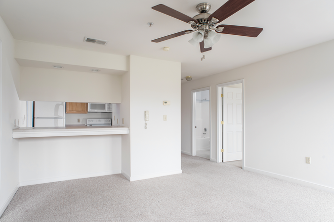 Living Room - All Have Windows - Cary Belvidere Apartments - In-Unit Laundry