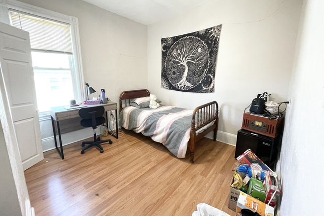 apartment - Umass/JFK/4bedrooms/1.5bathroom Apartments