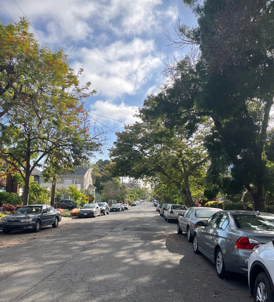View of the street - North Berkeley Apartment Close to Campus!