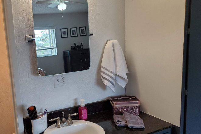 Campus Court 4-Bed - Capri Student Housing (8 Different Floorplans!) Apartments