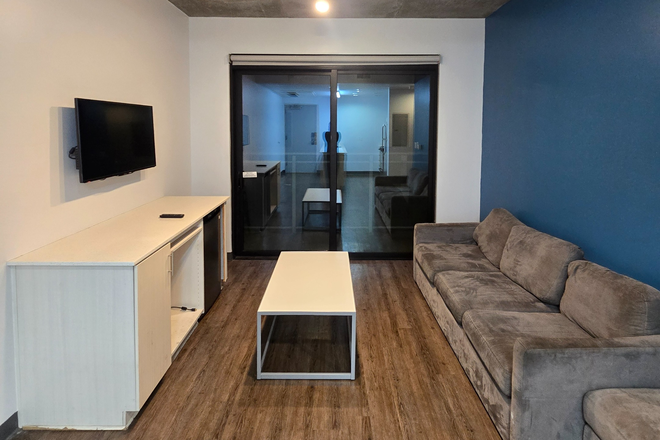 The living room (angle 2) - Malibu Apartments