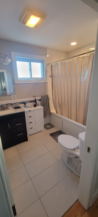 Bathroom - Furnished, Pet Friendly 1BR Condo near Red Line and South Bay Amenities