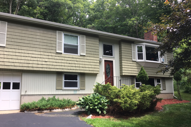 Front of the house, nice private lot - Single family house in Storrs, easy walk or bike ride to UCONN and downtown shops  (1.5 miles).