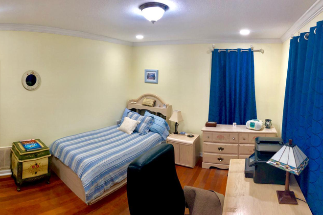 Bedroom - SEEKING MALE STUDENT/PROFESSIONAL FOR ROOM IN HOME W/PVT. ENTRANCE 6 MINS TO USF