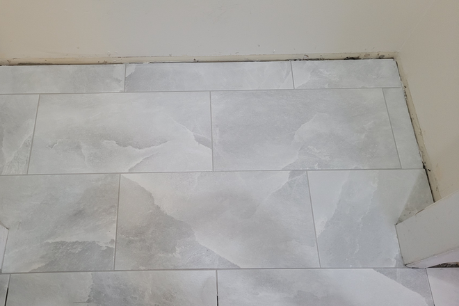Type of tile & look - ANNEX APARTMENT (BATHURST & HARBORD)