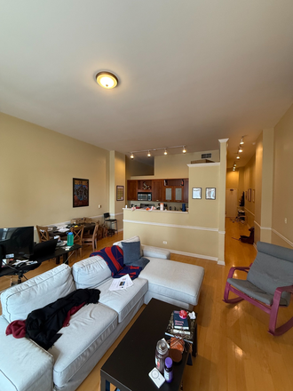 Living room / Kitchen - Downtown Evanston Hidden Gem, close to campus and transportation. Enormous ceilings and windows