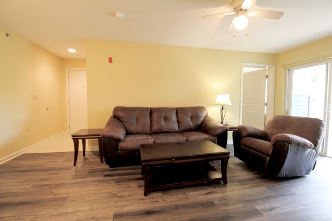 Living area - Campus View - 4 bed, 4 bath condos with pool and 24/7 gym! - We are now Pre-leasing!