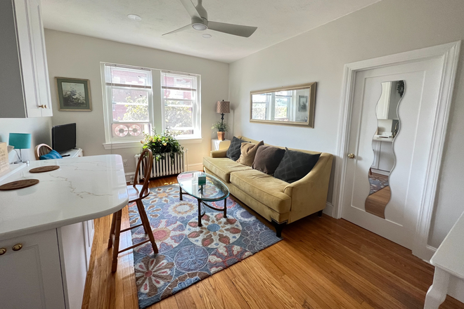LivingRoom - Fenway Furnished Penthouse