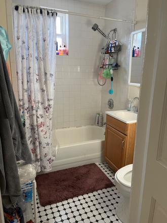 bathroom - Roxbury Apartment