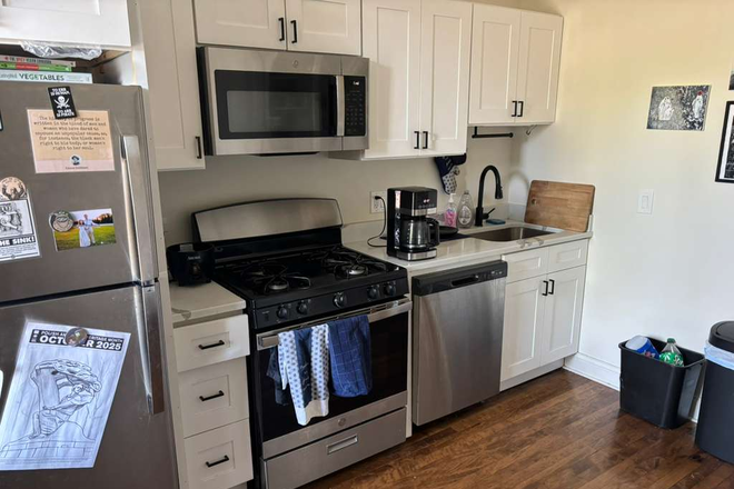 Kitchen - Apartment close to campus in Pilsen neighborhood