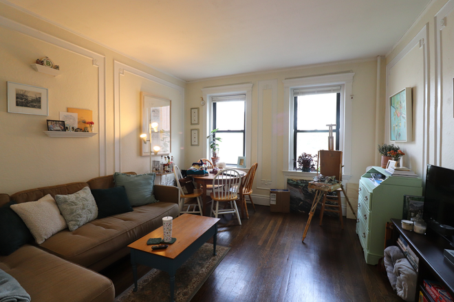 living room - Sunny Brighton, pet friendly 1 bed for 7/1 - NO FEE!