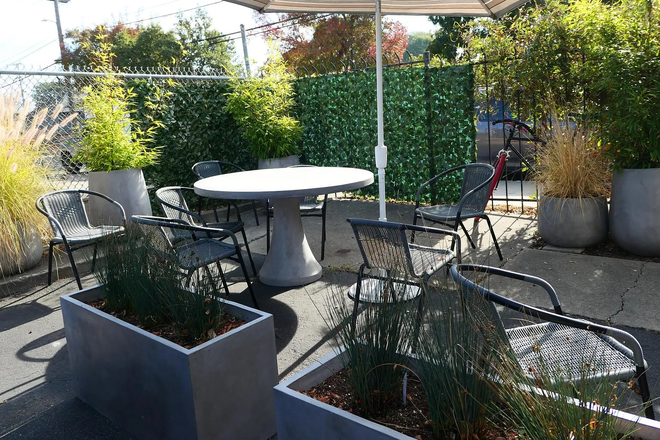 Back patio seating area - Light filled, spacious one bedroom in a 2 bed, 1 bath apartment