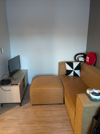 Sitting area/couch - Single Studio F at the Hub On Campus