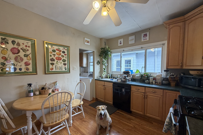 Kitchen - 4 bed/2 bath with friendly dog looking for roommates!