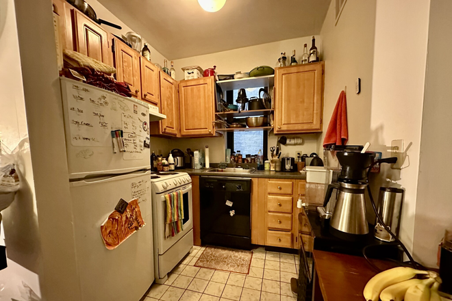 1 - NO FEE 3 bed great price elevator building 9/1 Undergrads ok 9/1 move in!