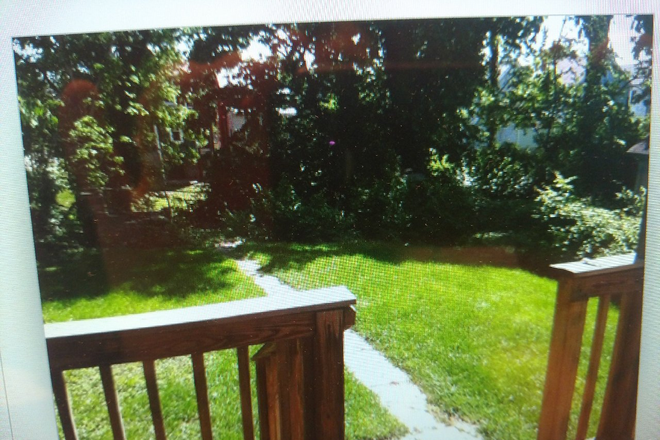 Private park like backyard - Great Xavier House - 2 minute walk to campus