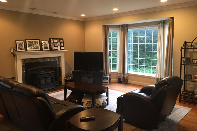 Living Room - Basement apartment in a Clean, Quiet house