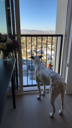 pets friendly - TOP-FLOOR 1BR AT ARI ON FOURTH | 13th Floor | Mountain & City Views | Available Now
