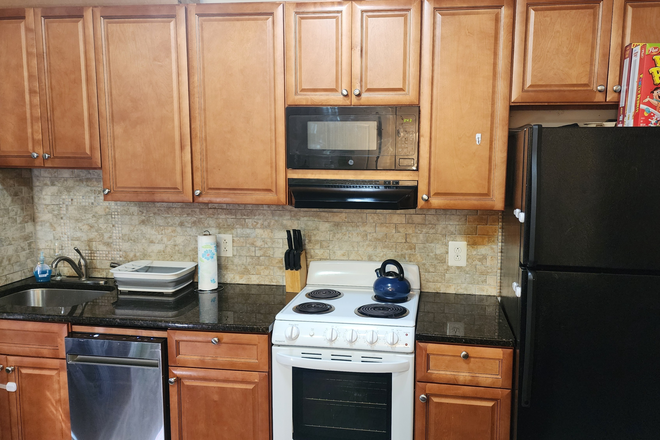 kitchen - 1631 Willington Street Studio for Rent