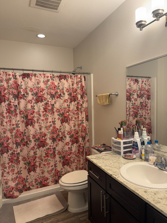 bathroom - East Village Flats, Short Walk to Campus!