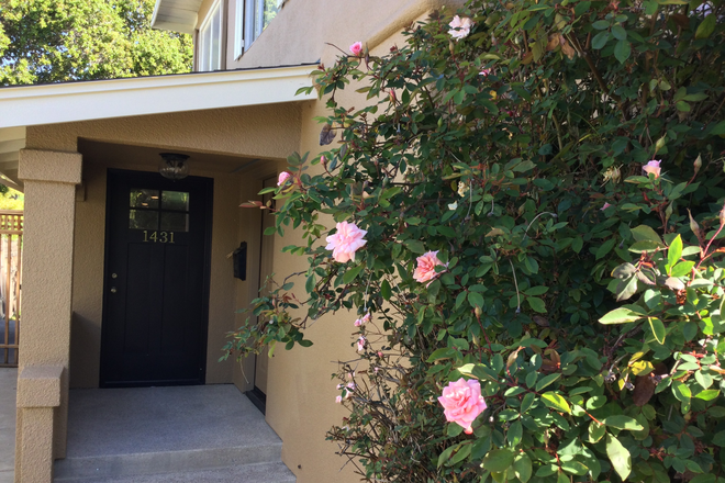 Front door - Furnished Garden Studio 4 blocks From North Berkeley BART Station Apartments