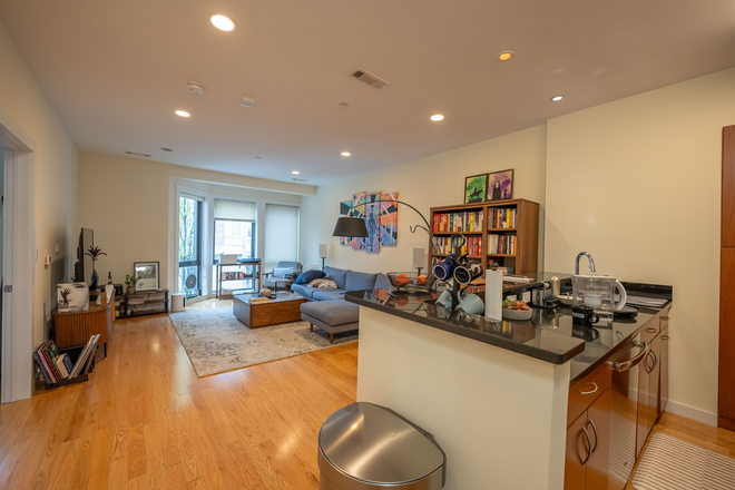 1 bed - 9 Miner St - [June 1st, 2026] Luxury 1bed/1bath in Kenmore Sq/ Fenway [Undergrads welcome]