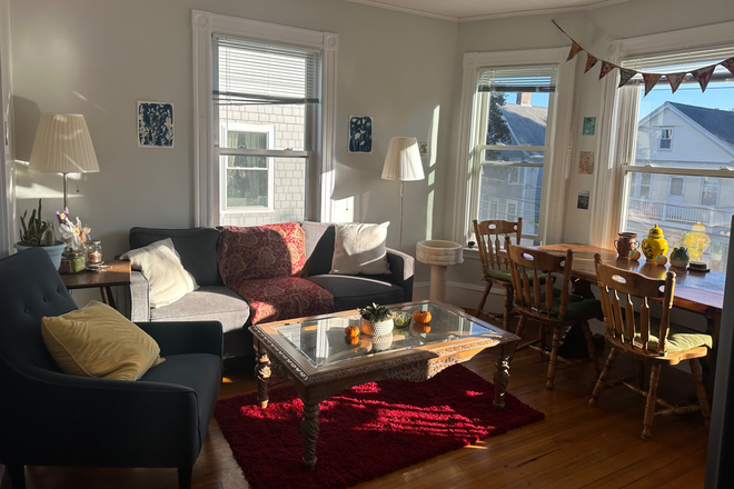 Living room - 2 couches, 4 large windows, dining table, dining chairs, coffee table, lamps, TV - Spacious Single Bedroom Spring Sublet 2026, Fully Furnished with Attached Porch Apartments
