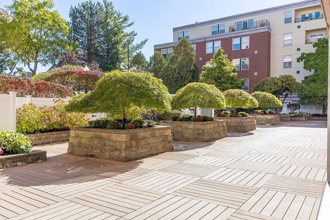Inside Courtyard - Luxury 2 Bedroom with Parking & Renovated Kitchen in Coolidge Corner! Apartments