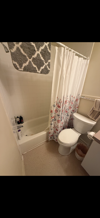 Bathroom - Off-Campus Apartment on Franklin in Carrboro!
