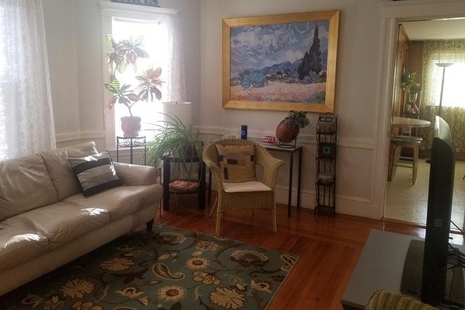 Living Room with great plants! - Available 01/11/26  Furnished Bedrm, Rent INCL Everything* Easy to Tufts, Harvard, MIT, MGH
