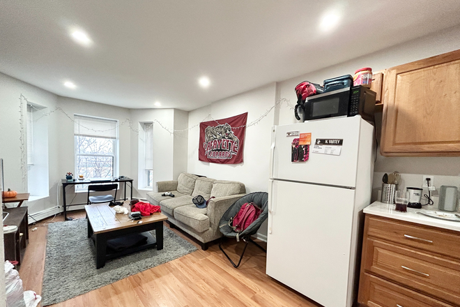 Living Room and Kitchen - ROOM RENTAL - Walk to Northeastern | Fully Applianced Kitchen | Open Concept Living Apartments