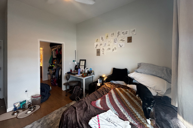 bedroom (will be unfurnished) - Town Center Collection sublet, <10 mins from campus! Apartments