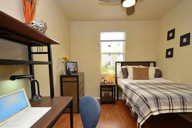 bedroom - Camino Del Sol