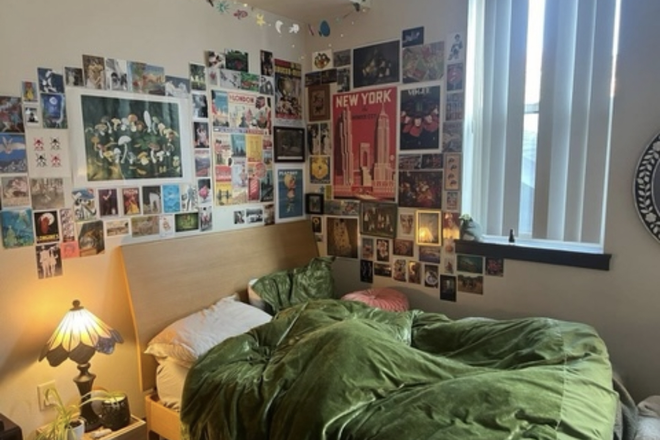 Bedroom (furniture not included) - $896 / 1br - Beautiful Eugene apartment- 19th Ave- spacious room for rent
