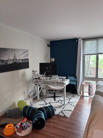 Living room - Fully Furnished 1 Bedroom in the Heart of Foggy Bottom! Apartments