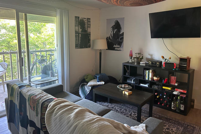 Shared living space - Summer Sublet at Capri - Close to Campus! Apartments