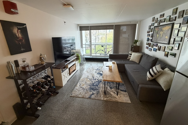 Living Room - Fully Furnished Private 1Bed 1 Bath Summer Sublet | Prime Harvard/Cambridge Location Apartments
