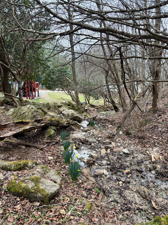 Creek area - Big loft for rent in Vilas, NC