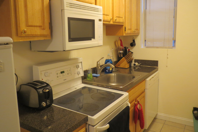 Kitchen - 1 BED ON HAVILAND ST - CONTACT MINNIE 617.817.5069 Apartments
