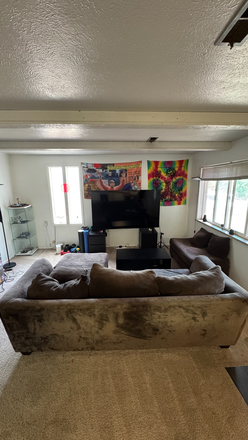 Living room - Apartment extremely close to campus