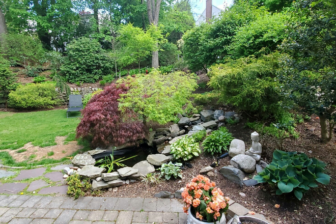 Zen Garden - Available 5/28/26 and 8/1/26 - 1 block to BC Law & BC Shuttle - Lovely Quiet Home - Flex Lease Terms
