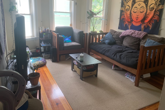 Living Room - Sunny & Spacious Private  Bedroom minus to BU, Tufts, Cambridge & Boston! Only $1,250! Apartments