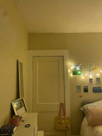 Bedroom. Don't have a ton of photos of the apartment, but happy to give a tour! - 209 Chestnut Hill Avenue