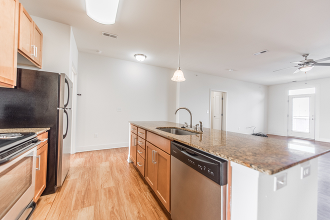 Kitchen/Living Space - Vine Street Flats Apartments