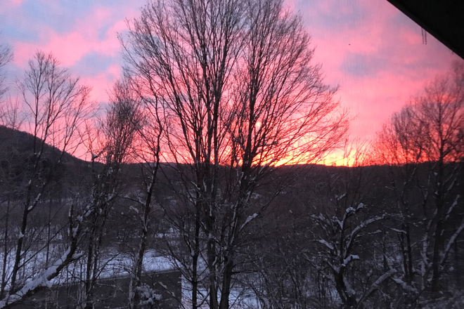 Winter view from yard - 1 Bedroom Apt. close to campus