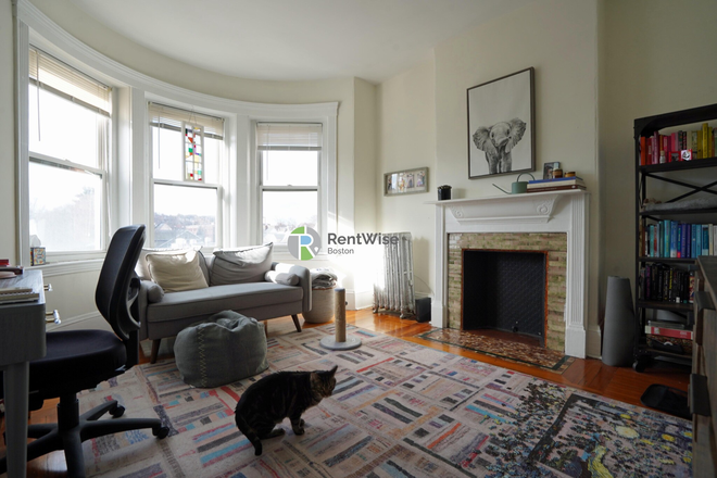 1 - AUG/SEPT 2026-Sweet 1 and 2 beds, Brighton Ave, H/HW inc. No Broker Fee! Apartments