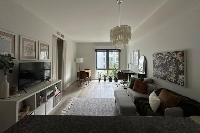 Living room - Quiet, Corner Apartment in Prime NW DC Tenleytown Location