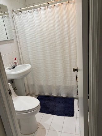 Bathroom - Roberto Lopez House