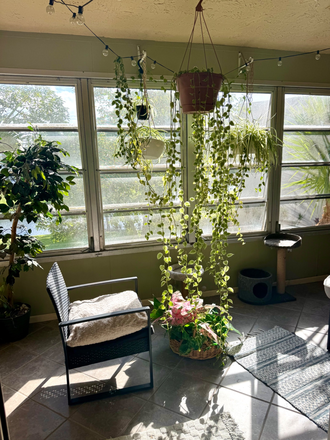 Screened in balcony - Roommate for 2bd/2ba in Delray Beach Apartments