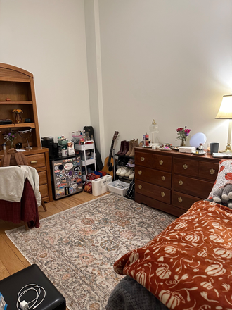 Bedroom - FEMALE ONLY apartment (will chip in rent for 1st month)